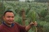 Anh Thái rạng rỡ bên mô hình trồng cây măng tây xanh thu tiền triệu mỗi ngày của gia đình