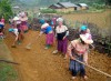 Phụ nữ vùng cao Bắc Hà góp sức xây dựng nông thôn mới gắn với giảm nghèo bền vững