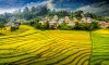 Phối hợp thực hiện xây dựng, phát triển nông nghiệp - nông thôn và Cuộc vận động “Người Việt Nam ưu tiên dùng hàng Việt Nam"