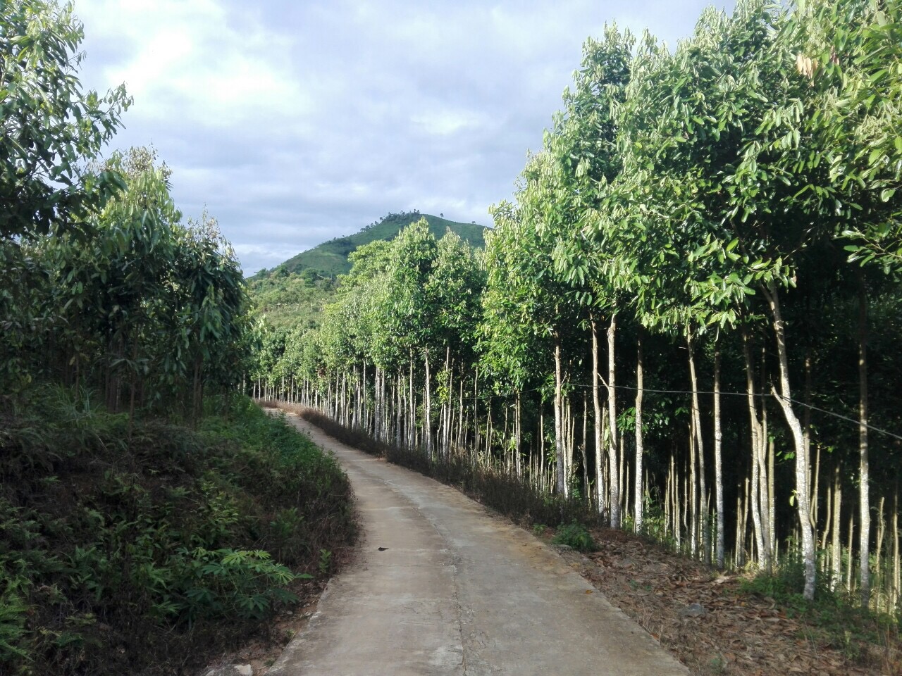 Đường giao thông nông thôn mới nối từ bản Vắc đến bản Mí xã Xuân Hòa