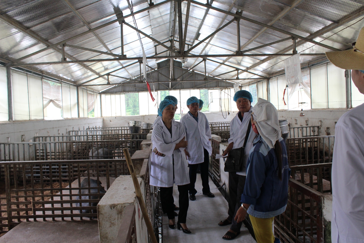 Khảo sát chính sách hỗ trợ chăn nuôi tại doanh nghiệp Anh Nguyên, Bắc Hà